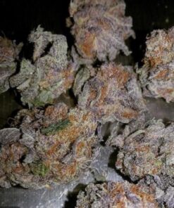 Buy Granddaddy Purple Online