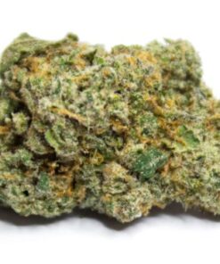 Buy Gelato #47 Kush Online