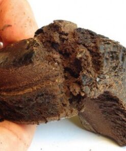 Buy Afghan Black Hash Online