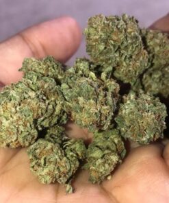 Buy Alien OG Online