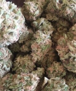 Buy Blackberry Kush Online