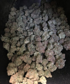 Buy Blueberry kush Online