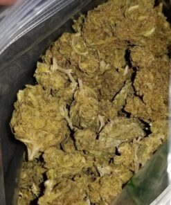 Buy Critical Kush Online