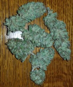 Buy G13 x Hash Plant Online