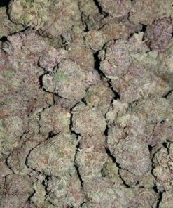 Buy Ghost Train Haze Online