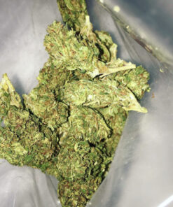 Buy Gorilla Glue 4 Online