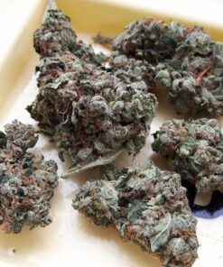 Buy Holy Grail Kush Online