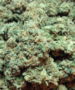 Buy Kerala Kush Online