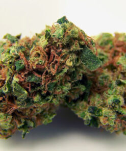 Buy NYC Diesel Strain: Sour Diesel X (Afghani X Hawaiian) Online