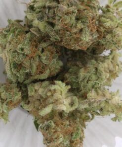 Buy Sensi Star kush Online