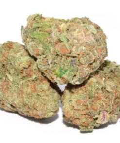 Buy blue dream Strain Online