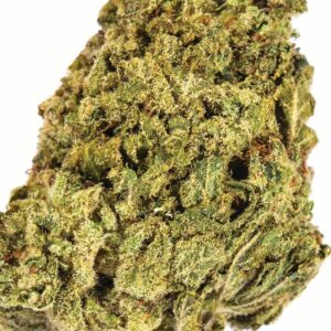 Order AK-47 Strain