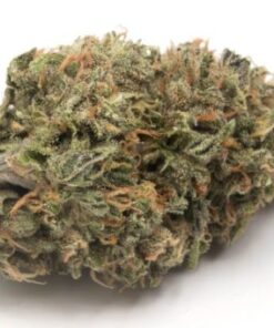 Buy Gelato Kush Online