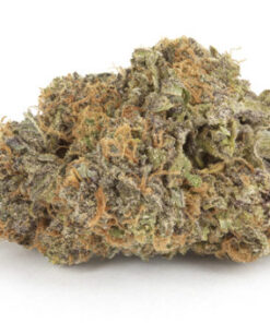 Buy Grape Ape strain Online