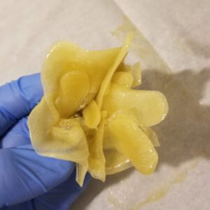 Buy hash rose Online