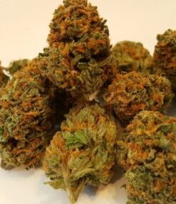 Buy Jedi Kush (Cali Connection) Online