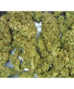 Buy Kosher Kush (Reserva Privada) Online