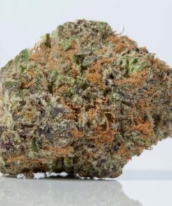 Buy lavender kush Online