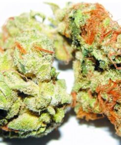 Buy Lemon Sour Diesel