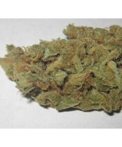 Buy Liberty Haze Online