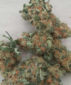 Buy Orange Kush Online