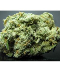 Buy Pineapple Express Strain Online