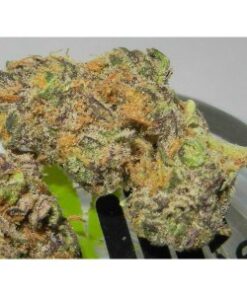 Buy Death Bubba Online