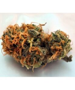 Buy Querkle Kush Online