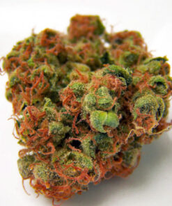 Buy Panama Red medicinal marijuana Online