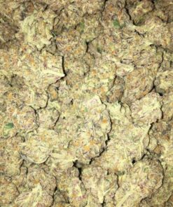 Buy sunset sherbert Online