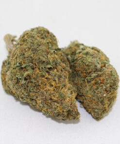 Buy UK Cheese marijuana online