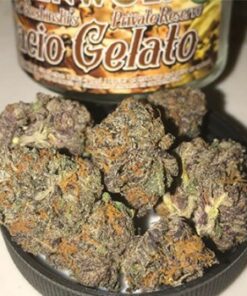 Buy Gelato Strains Online