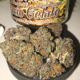 Buy Gelato Strains Online