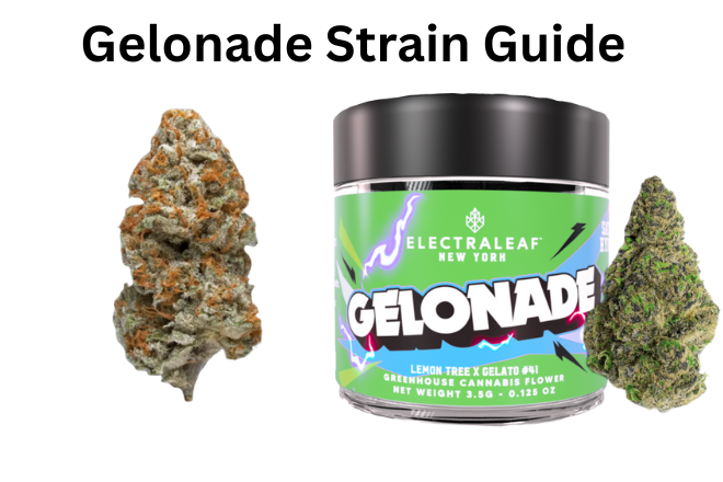 Gelonade Strain Guide