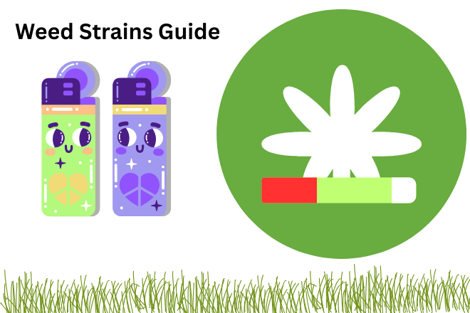 Weed Strains Guide