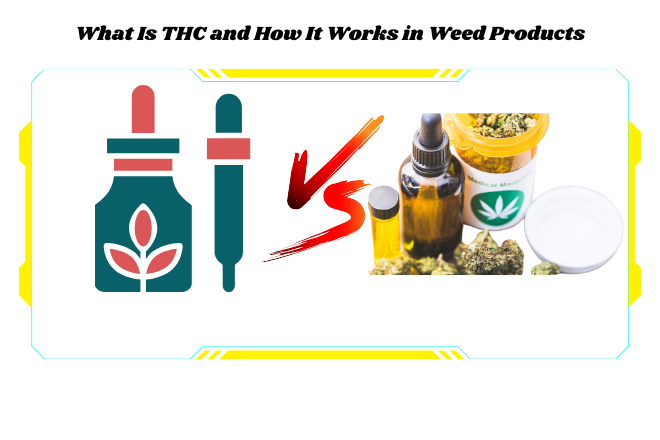 What Is THC and How It Works in Weed Products