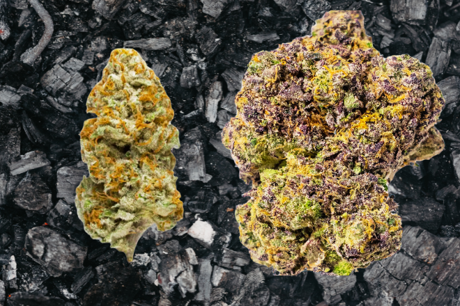 Carbon Fiber Strain Guide