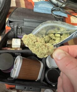 Green Gelato Auto strain