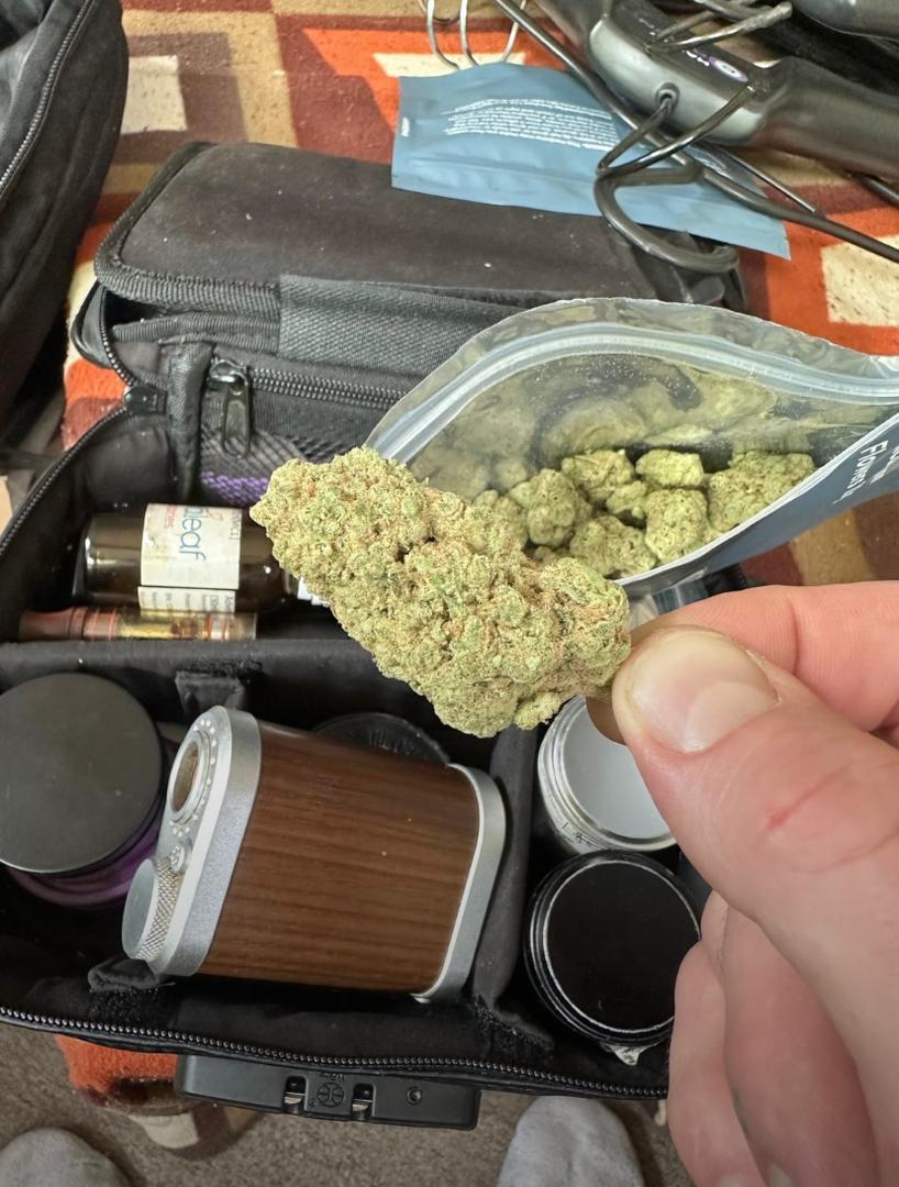 Green Gelato Auto strain