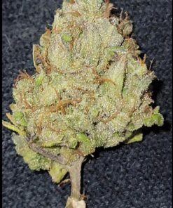 Amnesia Haze dispensary