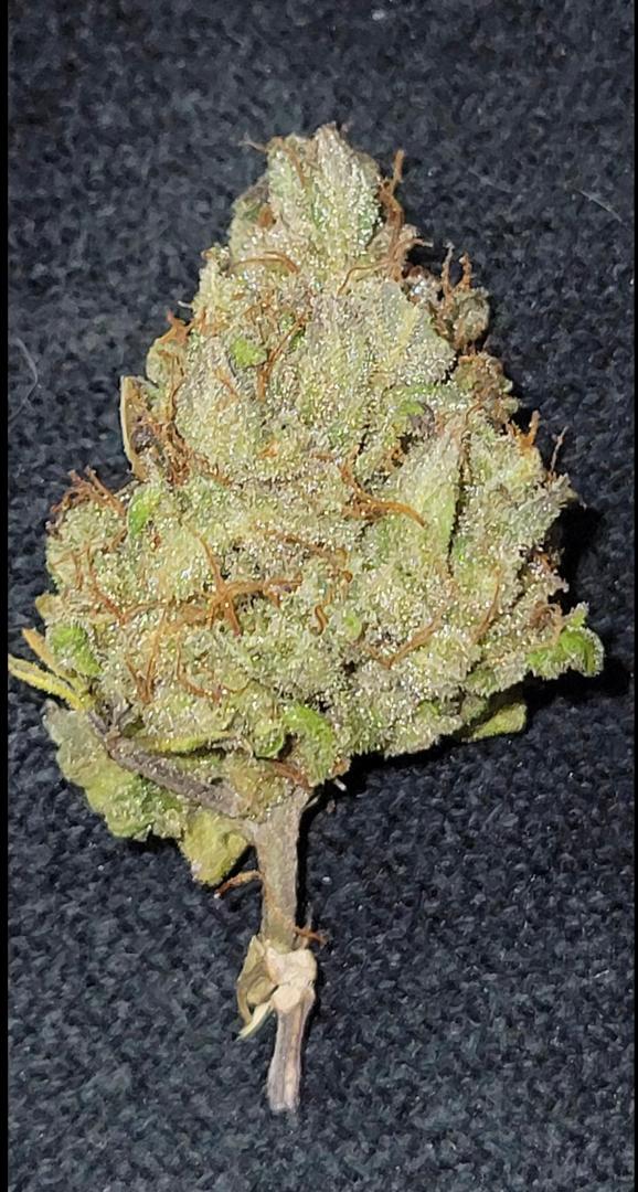 Amnesia Haze dispensary