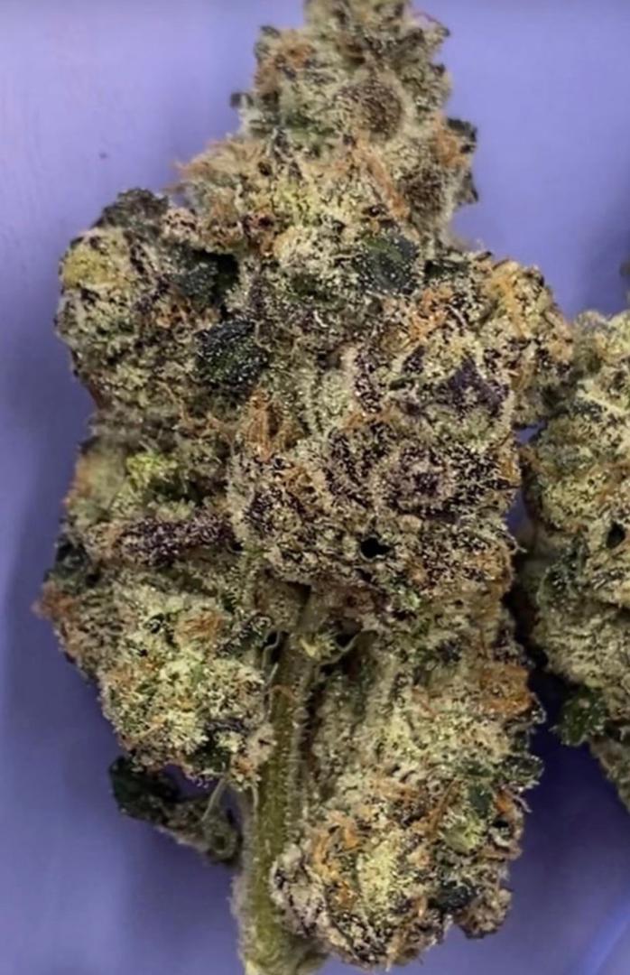 Northern Lights cannabis strain